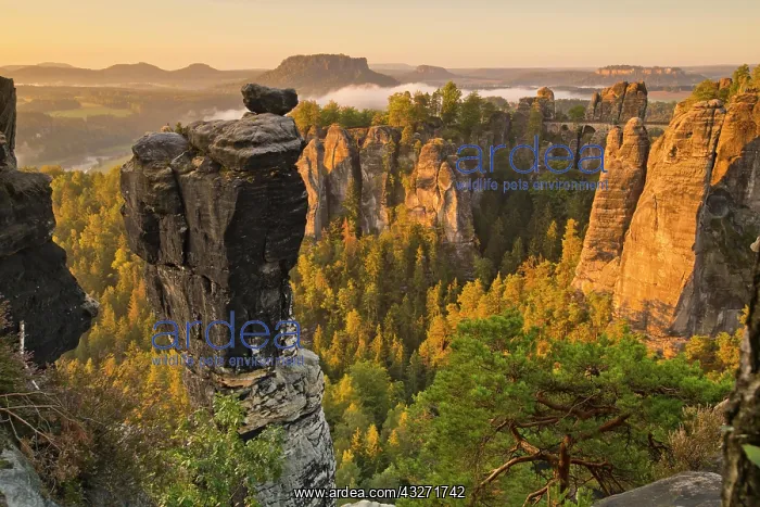 : View to the Bastei, Bastei bridge, with Wehlnadel : View to the Bastei, Bastei bridge, with Wehlnadel