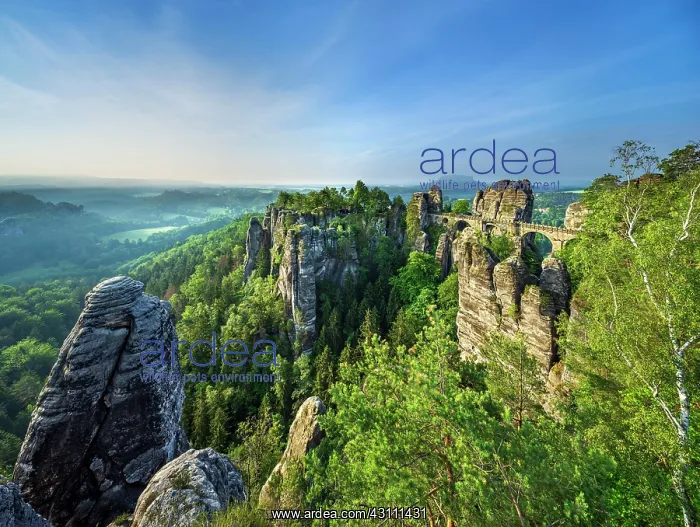 : View of the Bastei Bridge, Bastei near Rathen, Elbe : View of the Bastei Bridge, Bastei near Rathen, Elbe