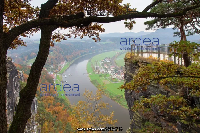 : View from Bastei Bridge to Elbe river in autumn : View from Bastei Bridge to Elbe river in autumn