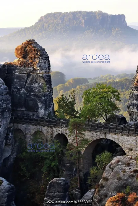  : View of the Bastei Bridge. Lohmen, Rathern, Saxon