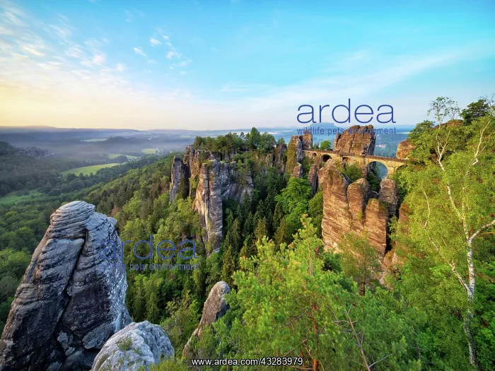: View of the Bastei Bridge in the morning light : View of the Bastei Bridge in the morning light