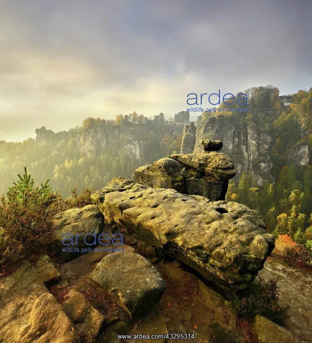 : View of the Bastei bridge, morning light, Elbsandsteingebirg : View of the Bastei bridge, morning light, Elbsandsteingebirg