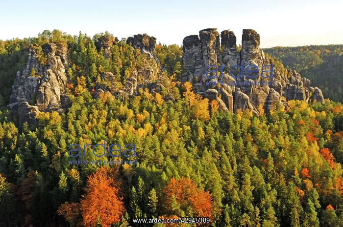 : View of the Bastei, Elbsandsteingebirge, National : View of the Bastei, Elbsandsteingebirge, National