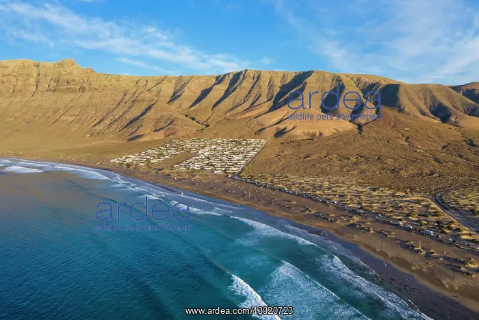 : View on beach Playa Famara with bungalows and mountain : View on beach Playa Famara with bungalows and mountain