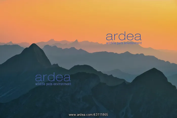 : View of Bernese Alps at dusk from Brienzer Rothorn : View of Bernese Alps at dusk from Brienzer Rothorn