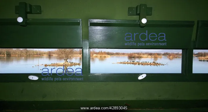 : View from bird hide over water : View from bird hide over water