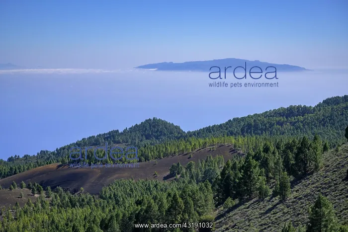 : View from Birigoyo Volcano to La Gomera, El Paso : View from Birigoyo Volcano to La Gomera, El Paso