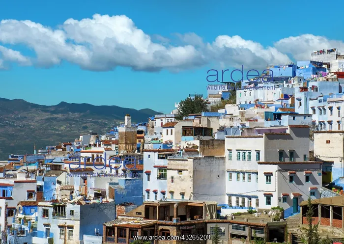 : View on blue houses of the medina of Chefchaouen : View on blue houses of the medina of Chefchaouen
