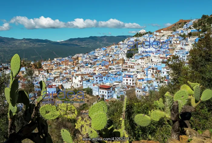 : View on blue houses of the medina of Chefchaouen : View on blue houses of the medina of Chefchaouen