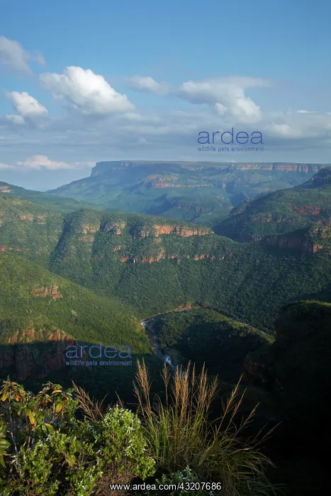 : View over Blyde River Canyon, Mpumalanga : View over Blyde River Canyon, Mpumalanga