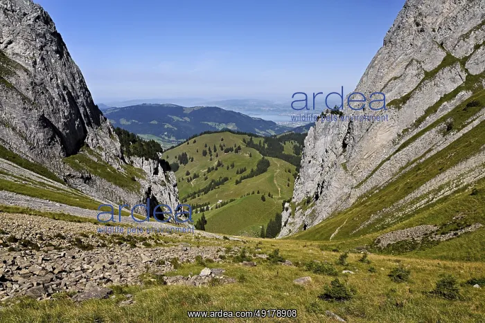 : View from Bockmattli to the Mittelland : View from Bockmattli to the Mittelland