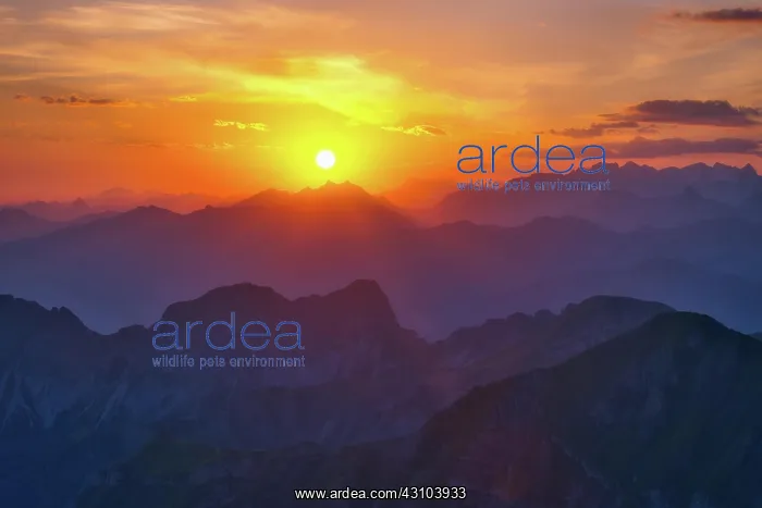 : View from Brienzer Rothorn to Central Swiss Alps : View from Brienzer Rothorn to Central Swiss Alps