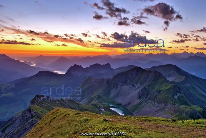 : View from Brienzer Rothorn on Central Swiss Alps : View from Brienzer Rothorn on Central Swiss Alps