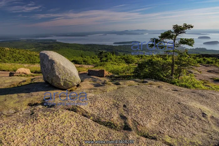 : View from Cadillac Mountain looking down onto Frenchman : View from Cadillac Mountain looking down onto Frenchman