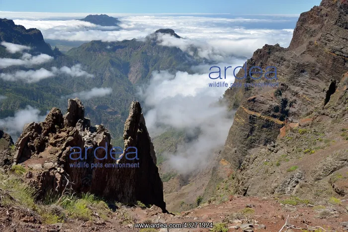 : View into the Caldera de Taburiente, Roque de los : View into the Caldera de Taburiente, Roque de los