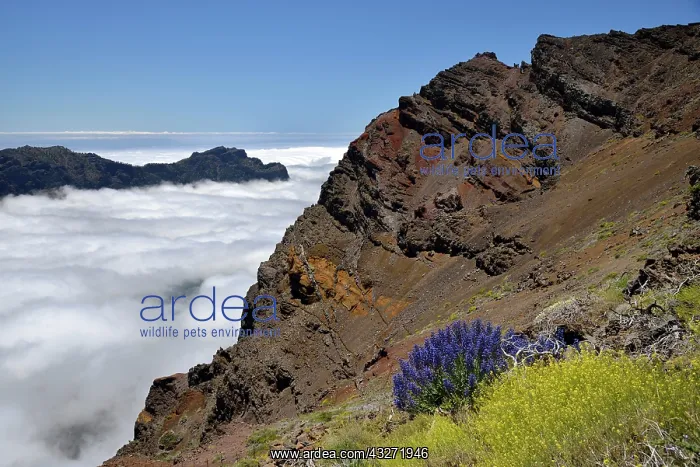 : View into the Caldera de Taburiente, Roque de los : View into the Caldera de Taburiente, Roque de los