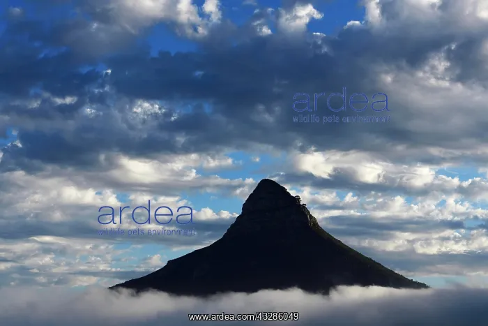 : View from Camps Bay to Lion's Head, Cape Town : View from Camps Bay to Lion's Head, Cape Town