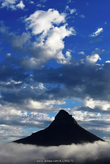  : View from Camps Bay to Lion's Head, Cape Town