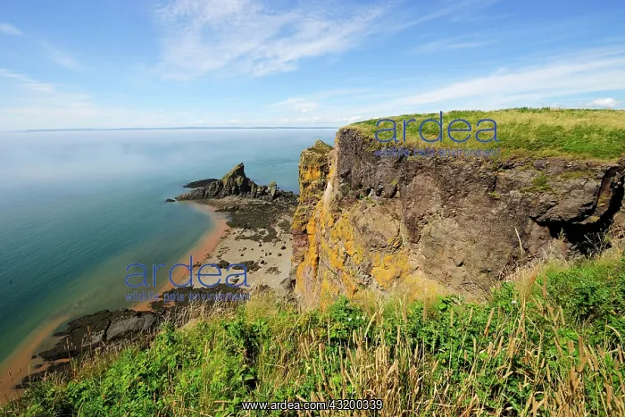 : View from Cape Split on the Bay of Fundy, Nova Scotia : View from Cape Split on the Bay of Fundy, Nova Scotia