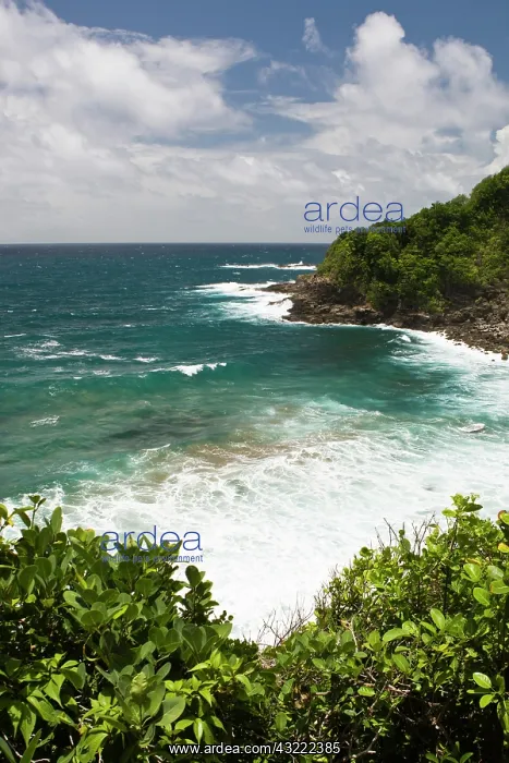 : View from Carib (Kalinago) Indian Reserve : View from Carib (Kalinago) Indian Reserve