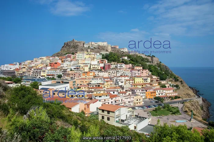 : View of Castelsardo, Sardinia, Italy, Europe : View of Castelsardo, Sardinia, Italy, Europe