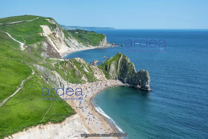 : View over the chalk coast with the famous rock b : View over the chalk coast with the famous rock b