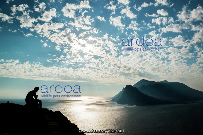 : View from Chapmans Peak, Cape Town, Western Cape : View from Chapmans Peak, Cape Town, Western Cape