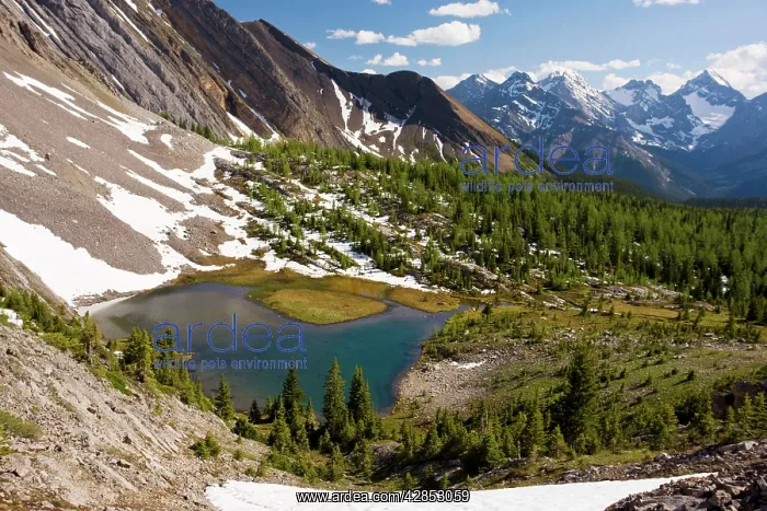 : View from above Chester Lake - Peter Lougheed Provincial : View from above Chester Lake - Peter Lougheed Provincial