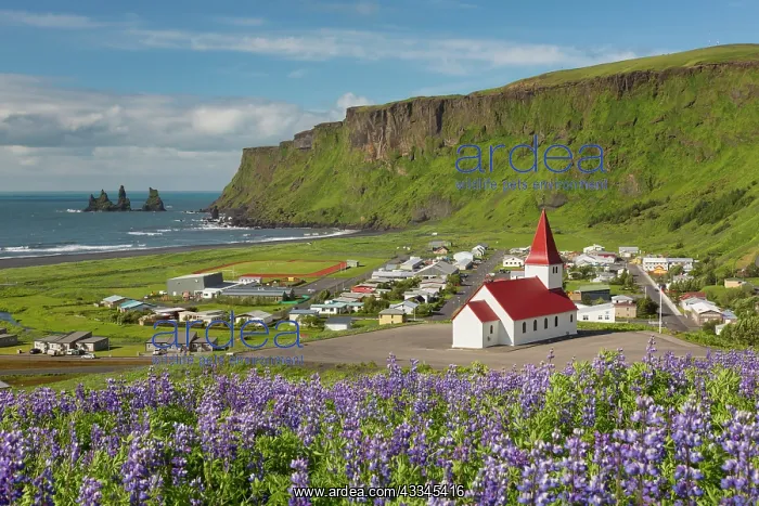  : View at the church of Vik i Myrdal - Island