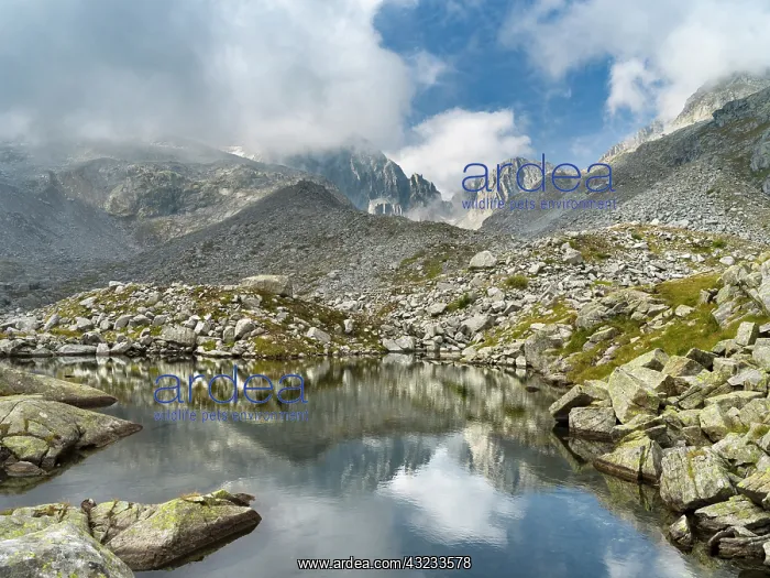  : View towards Cima Presanella draped in clouds near