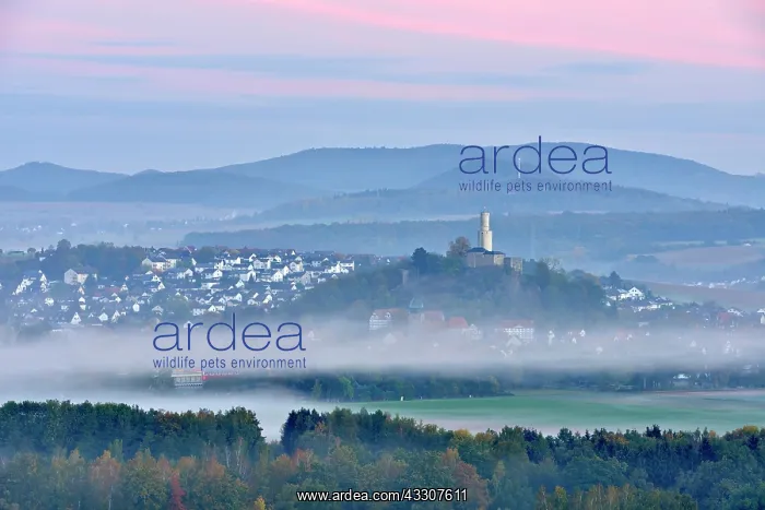  : View of the city of Felsberg with Felsburg castle