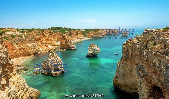 : View of cliff of craggy sandstone rocks, rock formations : View of cliff of craggy sandstone rocks, rock formations