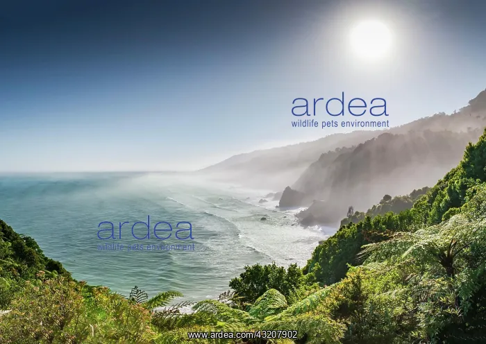 : View from the coastal road, unspoiled rocky coast : View from the coastal road, unspoiled rocky coast