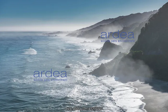 : View from the coastal road, unspoiled rocky coast : View from the coastal road, unspoiled rocky coast