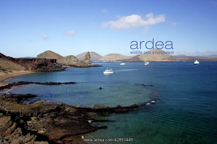 : View of coastline and incoming boats from Bartolome : View of coastline and incoming boats from Bartolome
