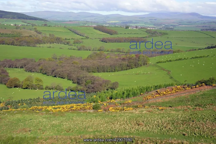 : View from Corby Crag of Cheviot Hills : View from Corby Crag of Cheviot Hills