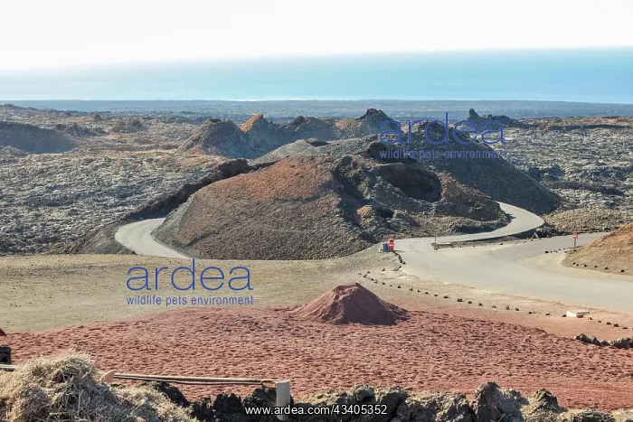 : View of crater landscape with extinct volcanoes V : View of crater landscape with extinct volcanoes V