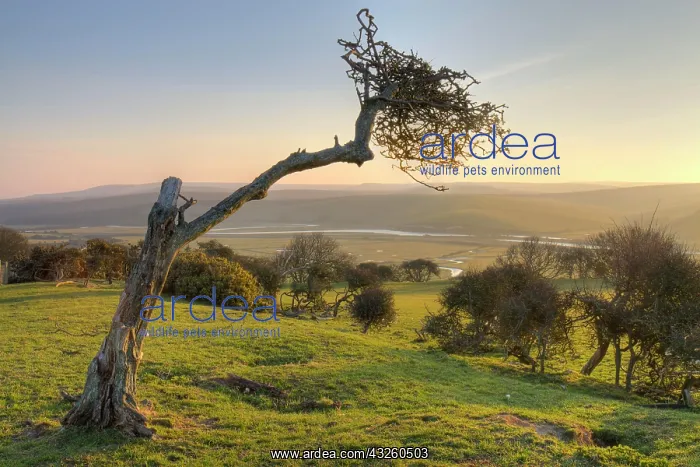 : View of the Cuckmere Valley at dawn. Near Seaford : View of the Cuckmere Valley at dawn. Near Seaford