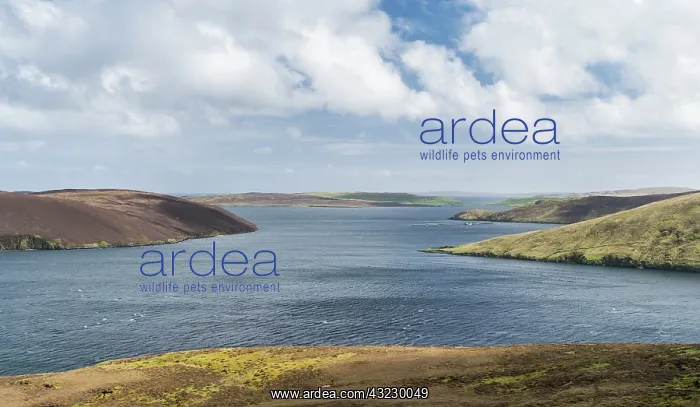 : View over Dales Voe in Delting northern : View over Dales Voe in Delting northern
