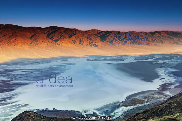 : View from Dantes View, at sunrise, over Badwater : View from Dantes View, at sunrise, over Badwater