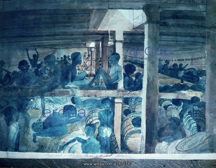 : View of the Deck of the Slave Ship Albanoz - watercolour : View of the Deck of the Slave Ship Albanoz - watercolour