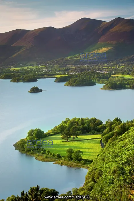 : View over Derwentwater with town of Keswick beyond : View over Derwentwater with town of Keswick beyond
