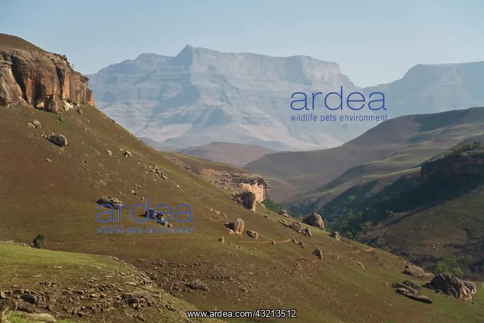 : View of Drakensberg Mountains inDrakensberg : View of Drakensberg Mountains inDrakensberg