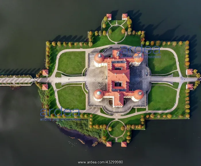 : Top view, drone shot, drone photo, access road over : Top view, drone shot, drone photo, access road over