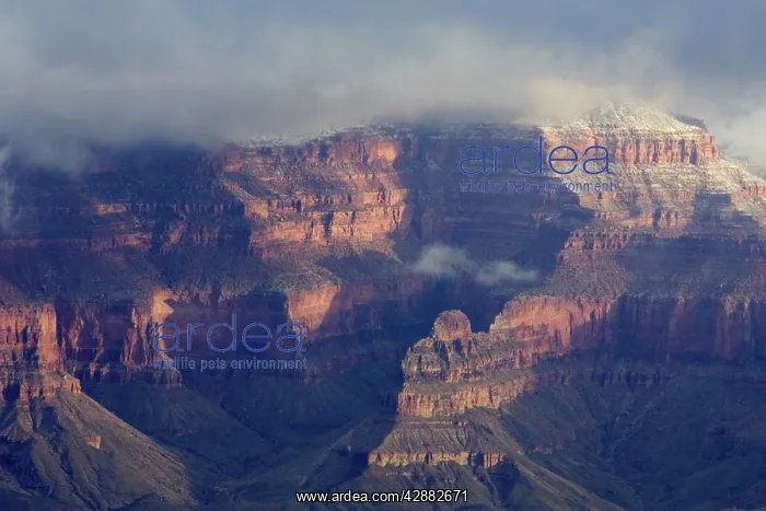 : View of the eastern Grand Canyon from one of the : View of the eastern Grand Canyon from one of the