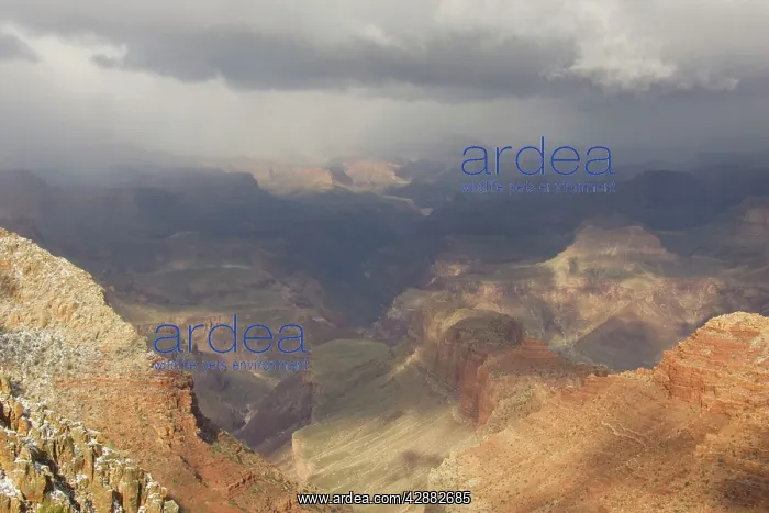 : View of the eastern Grand Canyon from one of the : View of the eastern Grand Canyon from one of the