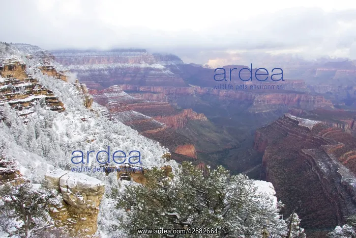 : View of the eastern Grand Canyon from Desert View : View of the eastern Grand Canyon from Desert View