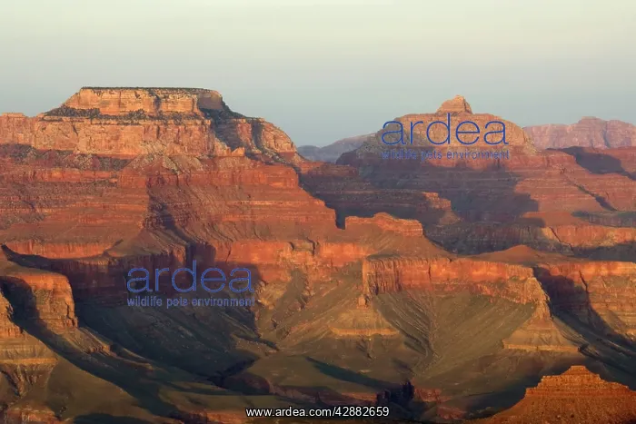: View of the eastern Grand Canyon from Mather Point : View of the eastern Grand Canyon from Mather Point