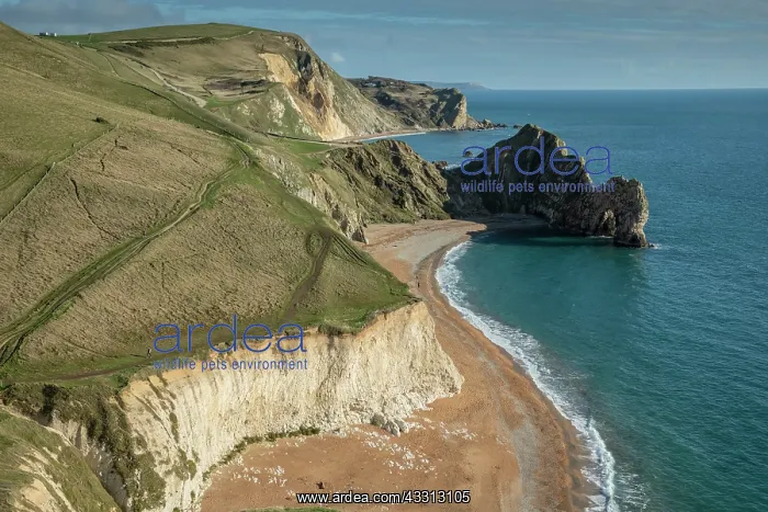 : View eastwards from Swyre Head across Durdle Doo : View eastwards from Swyre Head across Durdle Doo