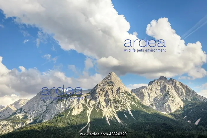 : View of Ehrwalder Sonnenspitze, mountain landscape : View of Ehrwalder Sonnenspitze, mountain landscape